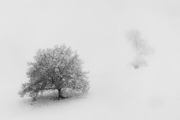 calendrier du 13 janvier 2022