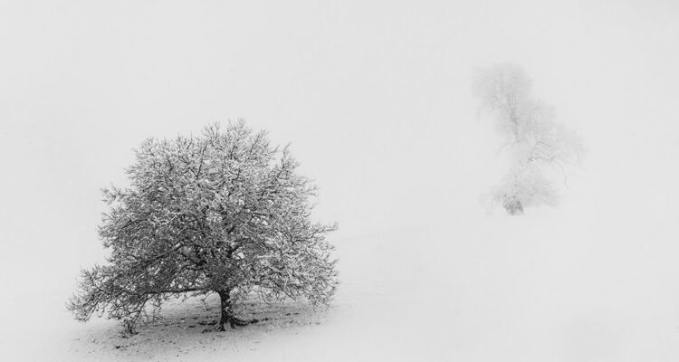 calendrier du 13 janvier 2022