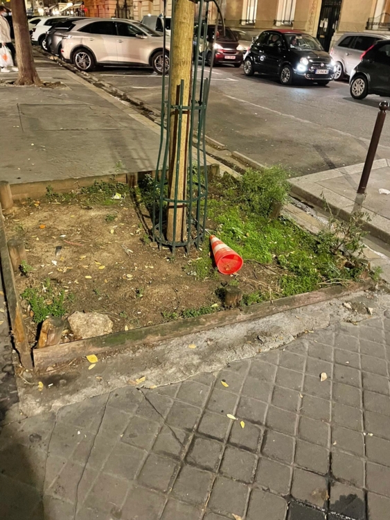 paris pied arbre-Edit calendrier lunaire du 22 janvier 2022