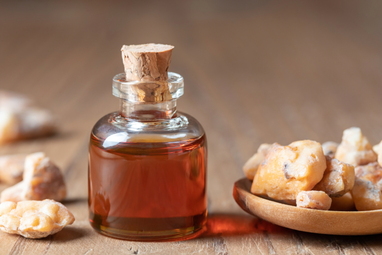 styrax - benjoin - Madeleine_Steinbach -Edit Le styrax, un arbuste méconnu