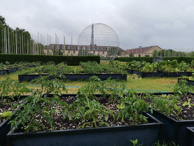 Unesco Potager de l'Unesco