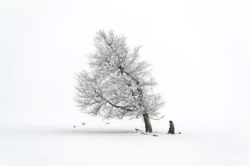 Calendrier lunaire du 24 février 2022