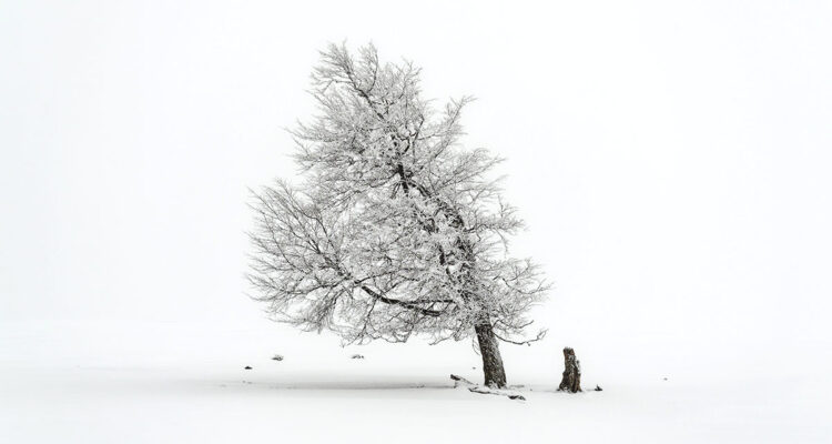 Calendrier lunaire du 24 février 2022