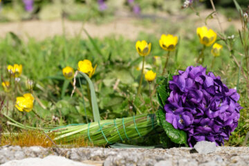 violette de Tourrettes-sur-Loup