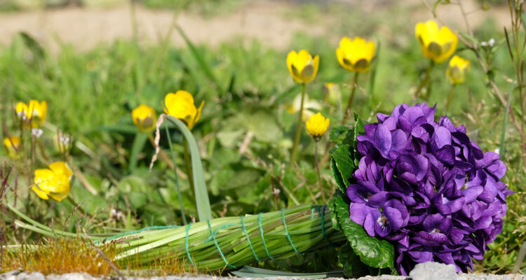 violette de Tourrettes-sur-Loup