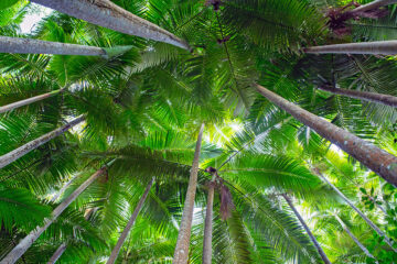 calendrier lunaire du 24 mars 2022