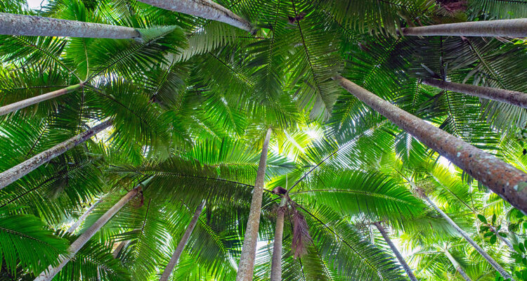 calendrier lunaire du 24 mars 2022