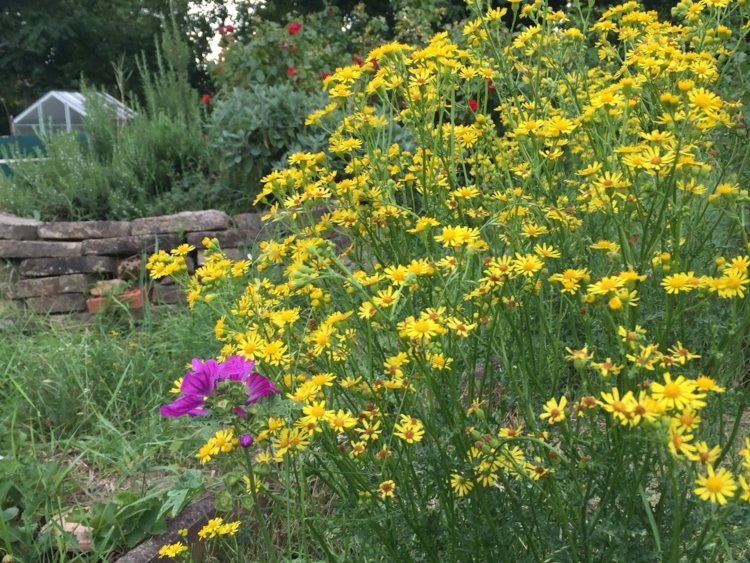 CRCV-Jardin4-Edit Côté rue Côté Voisins