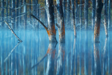 Calendrier lunaire le 23 février 2022