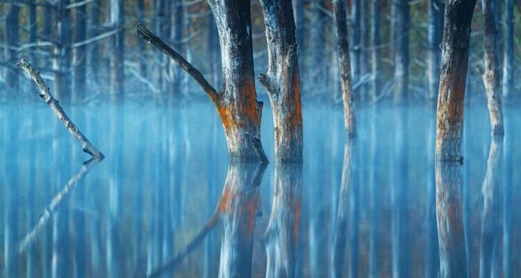 Calendrier lunaire le 23 février 2022