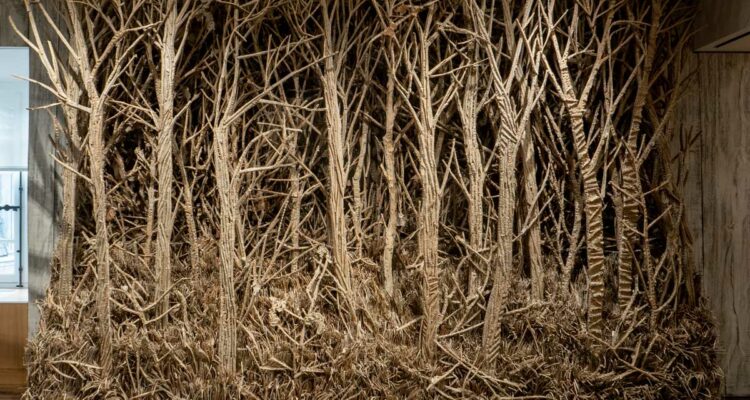 2va Jospin : Forêt 2010 ©Musée de la Chasse et de la Nature - Béatrice Hatala