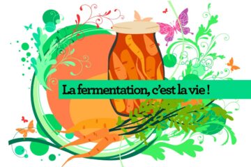 La fermentation , c'est la vie