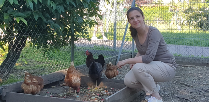 Lauriane - poulailler-Edit Côté rue Côté Voisins