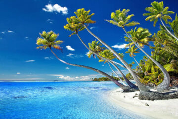 calendrier lunaire du 20 février 2022