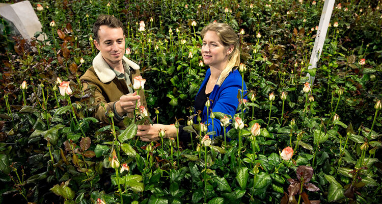 Fleurs coupées, l'enquête d'Hugo Clément