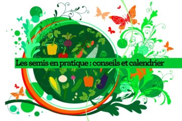 Conseils pratiques pour vos semis