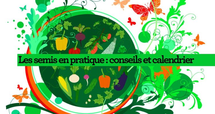 Conseils pratiques pour vos semis