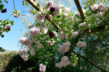 Calendrier lunaire du 12 mars 2022