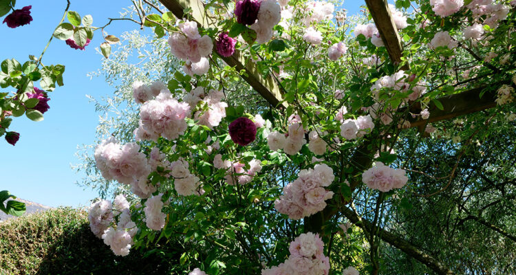 Calendrier lunaire du 12 mars 2022