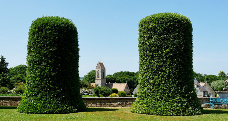 Calendrier lunaire du 15 mars 2022