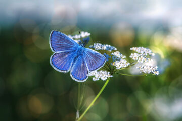 calendrier lunaire du 3 mars 2022