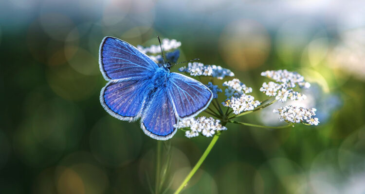 calendrier lunaire du 3 mars 2022