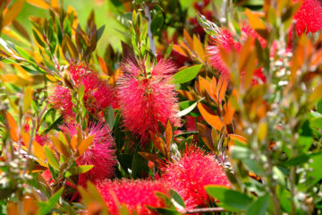 Calendrier lunaire du 24 avril 2022