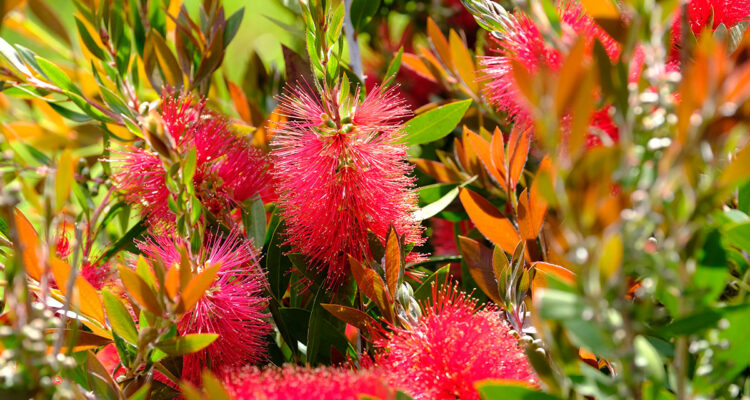 Calendrier lunaire du 24 avril 2022
