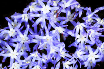 Calendrier lunaire du 27 mars 2022