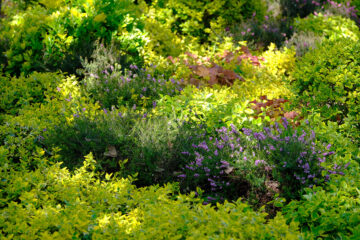Calendrier lunaire du 4 mars 2022