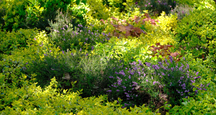 Calendrier lunaire du 4 mars 2022