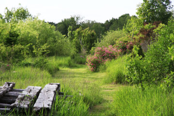 Arretez de tondre bordel !