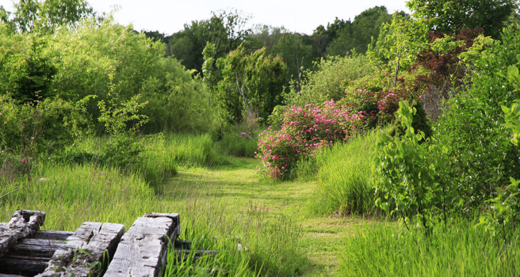 Arretez de tondre bordel !