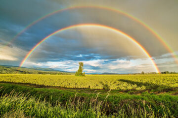 calendrier lunaire du 17 mars 2022