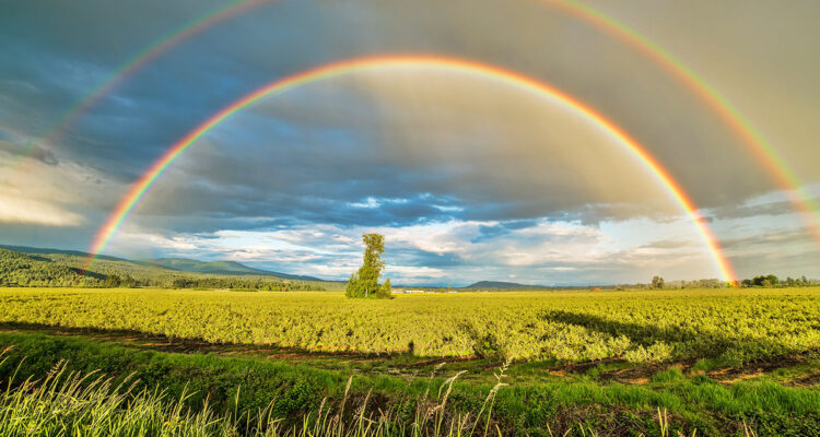 calendrier lunaire du 17 mars 2022
