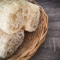 Faites pousser vos éponges