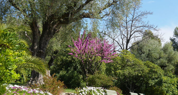 Calendrier lunaire du 6 mars 2022