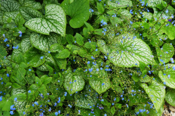 calendrier lunaire 5 mars 2022