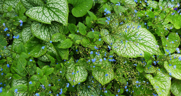 calendrier lunaire 5 mars 2022