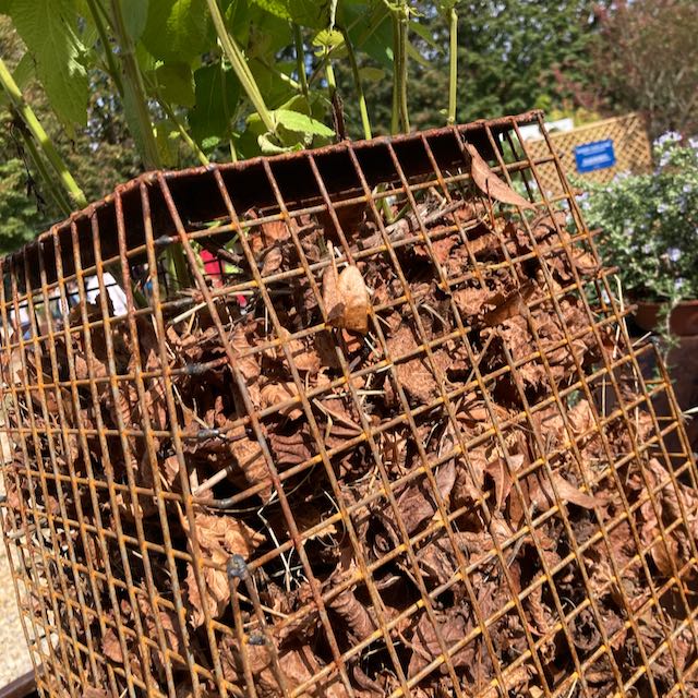 SAINT-JEAN-DE-BEAUREGARD-AUTOMNE (8) Sculpture végétalisée du sculpteur Arnaud Schneider