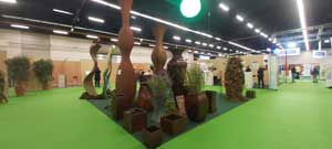 Vases-vegetaux en intérieur Vases végétaux par Arnaud Schneider