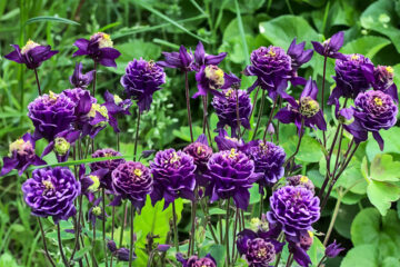 calendrier lunaire du 30 avril 2022