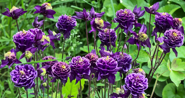 calendrier lunaire du 30 avril 2022