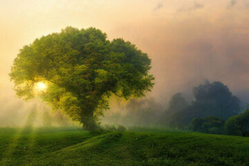 Calendrier lunaire du 18 avril 2022