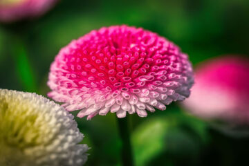 calendrier du 18 avril 2022