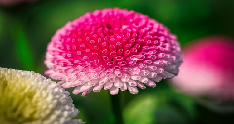 calendrier du 18 avril 2022