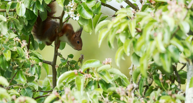 calendrier lunaire du 07 avril 2022