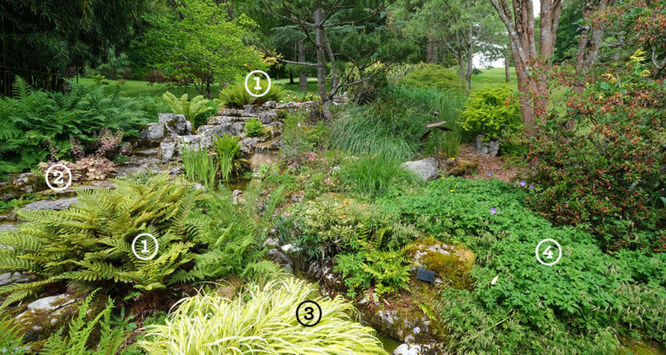 scènes modèles escaliers