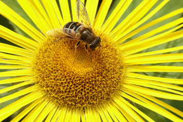 calendrier lunaire du 25 avril 2022