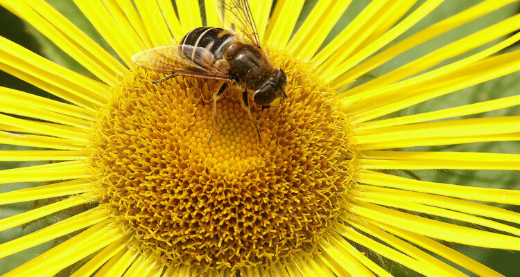 calendrier lunaire du 25 avril 2022